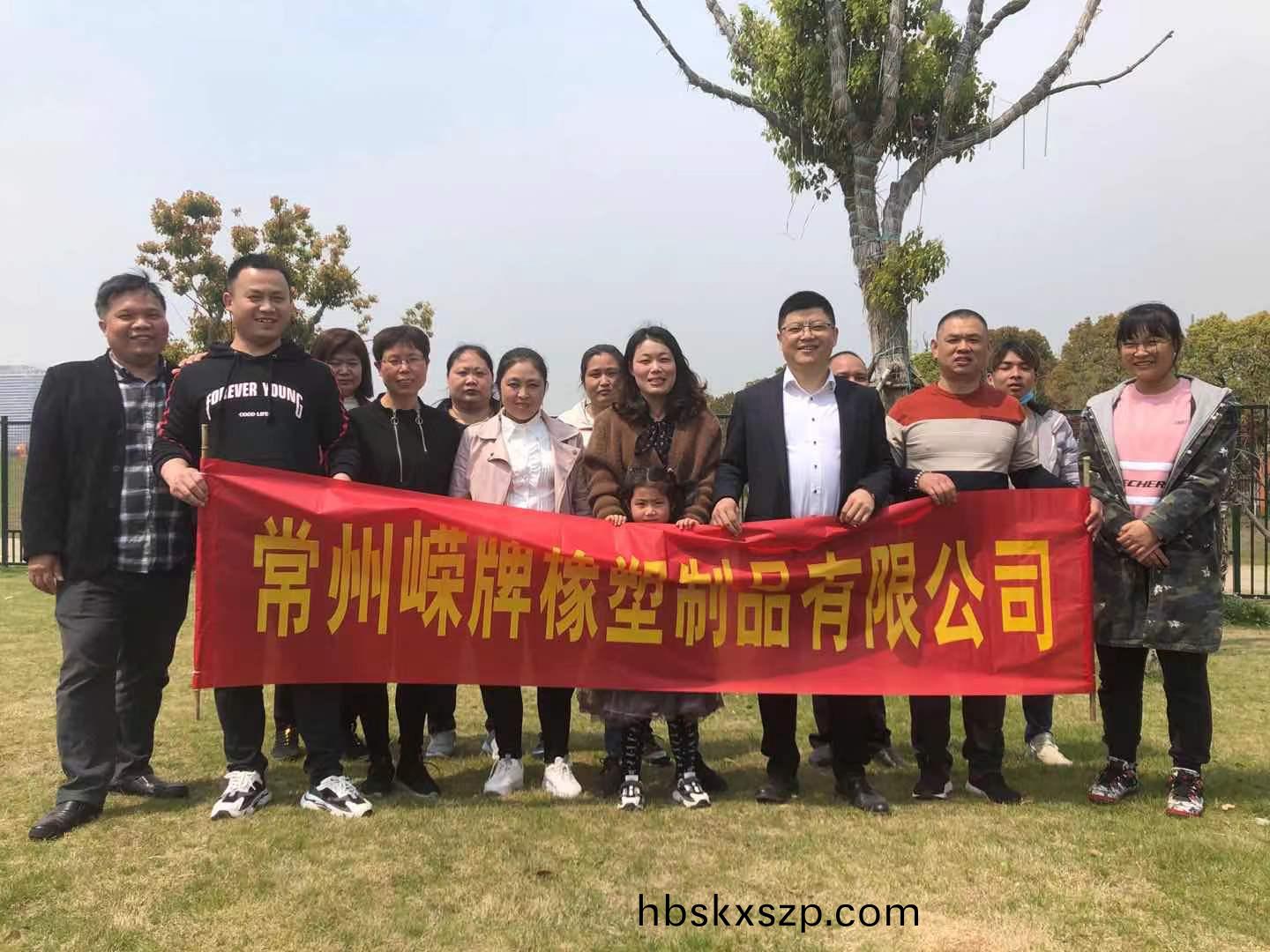 技術(shu)糰隊(dui)