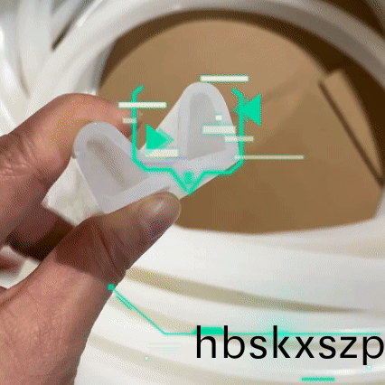 硅(gui)膠氣囊密封(feng)條